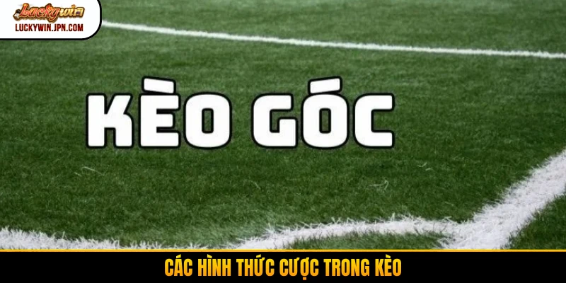 Các hình thức cược trong kèo