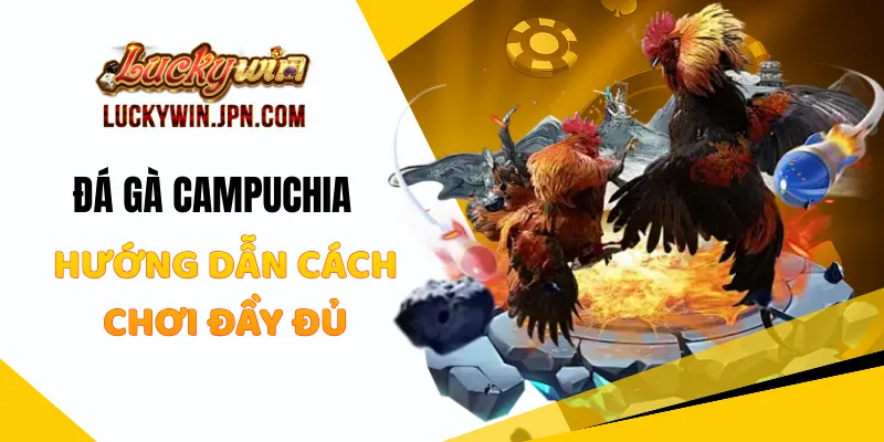 Đá Gà Campuchia Luckywin - Hướng Dẫn Cách Chơi Đầy Đủ