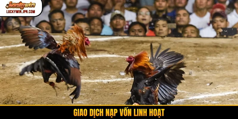 Giao dịch nạp vốn linh hoạt