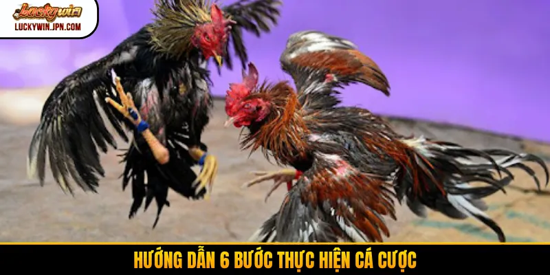 Hướng dẫn 6 bước thực hiện cá cược