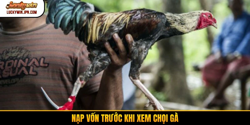 Nạp vốn trước khi xem chọi gà